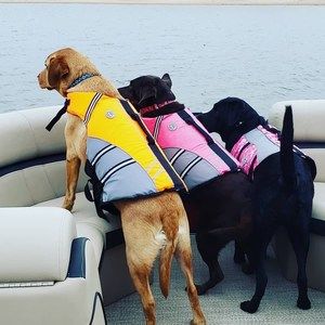 Meet your Posher, Erika